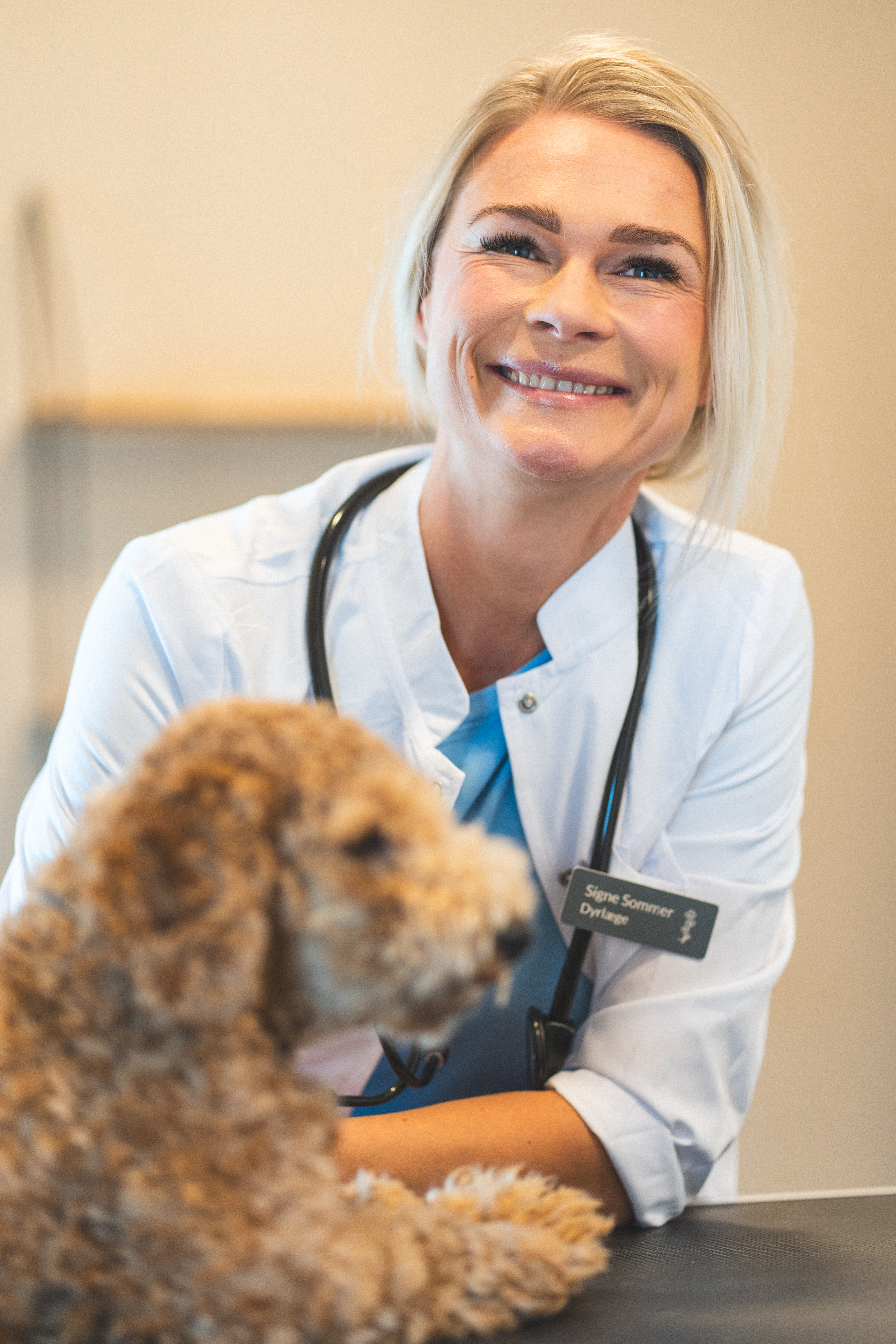 Signe undersøger hund